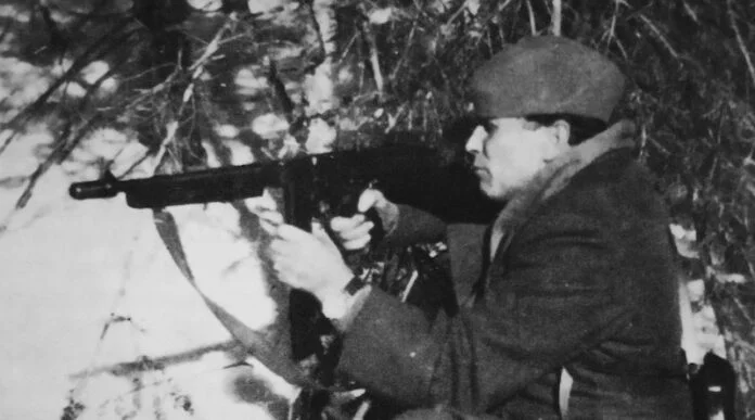 covertito tito