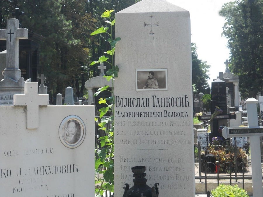 Spomen ploča na grobu Vojislava Tankosića