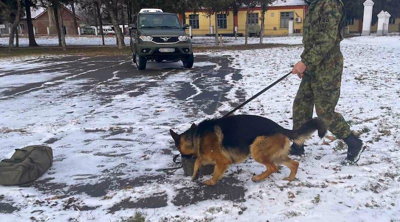 U Centru za obuku pasa Vojske Srbije u Nišu u toku je završna faza šestomesečnog osposobljavanja vodiča i dresure službenih pasa za pronalaženje minsko-eksplozivnih sredstava.