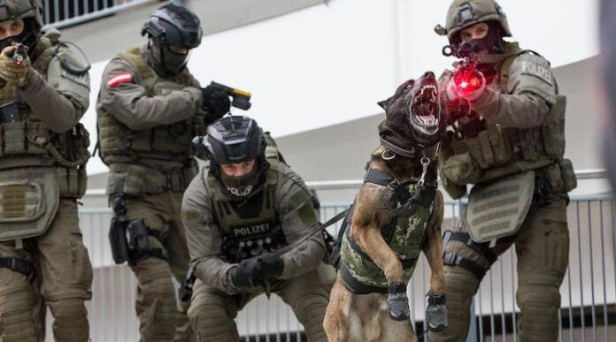 AUSTRIJSKE ''KOBRE'' – ''MAČ DEMOKRATIJE'' austrijske ''kobre'' – ''maČ demokratije''