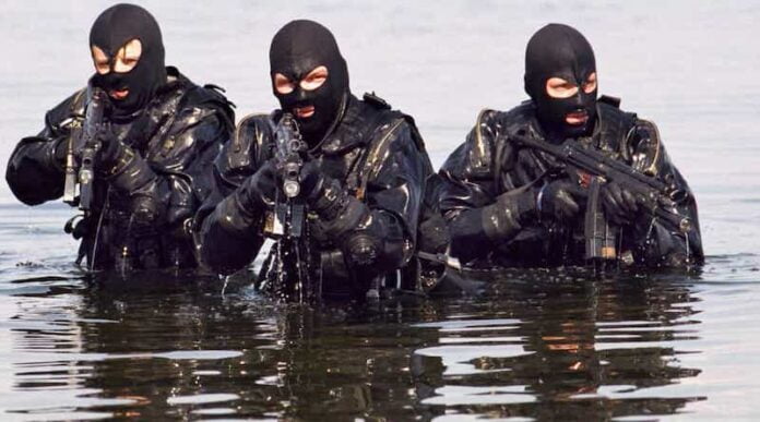 FKS - Specijalne snage Kraljevine Norveške fks specijalne snage kraljevine norveške