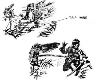 trip wire bic
