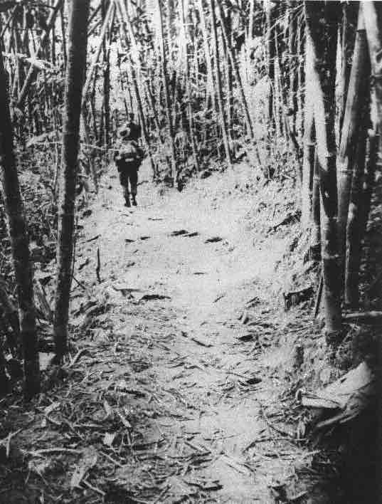 severnovijetnamac snimljen od strane pripadnika sog