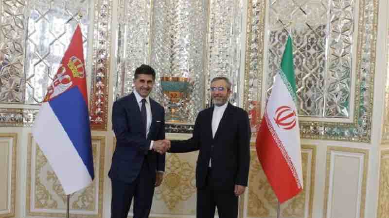 srpska delegacija u iranu