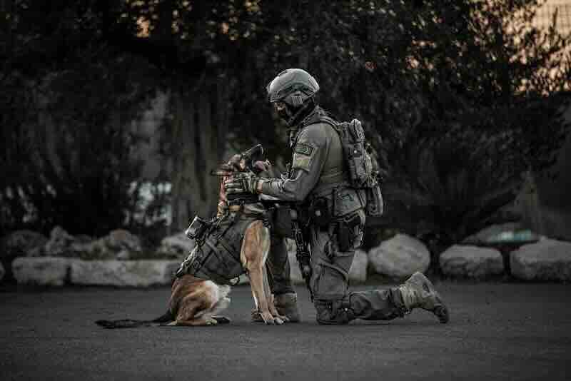 idf k9