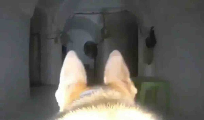 idf pas u tunelu hamasa u gazi