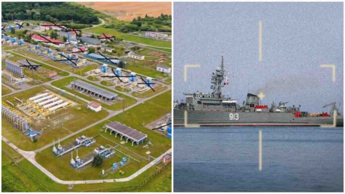 bilce volica i kovrovec