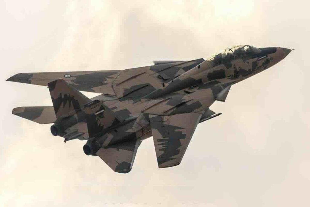 iranski f 14am tomcat