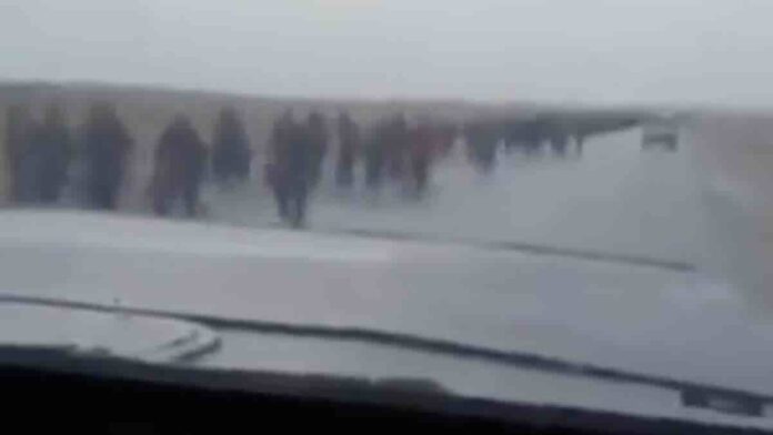 video ruski vojnici proklinju sirijske vojnike koji se masovno predaju suka bljat, smradovi i kukavice