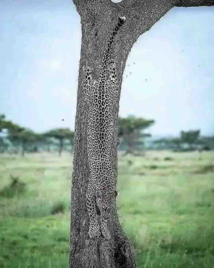 moze li bolje od ovoga moŽe li bolje od ovoga...