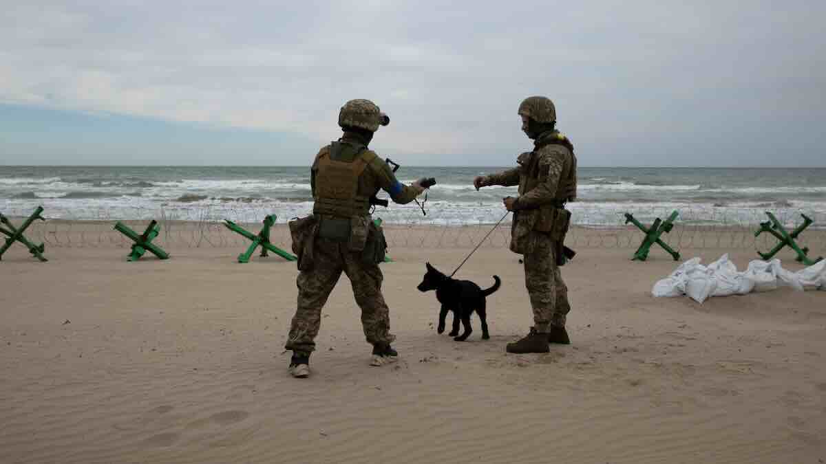 ukrajinski vojnici na plazi