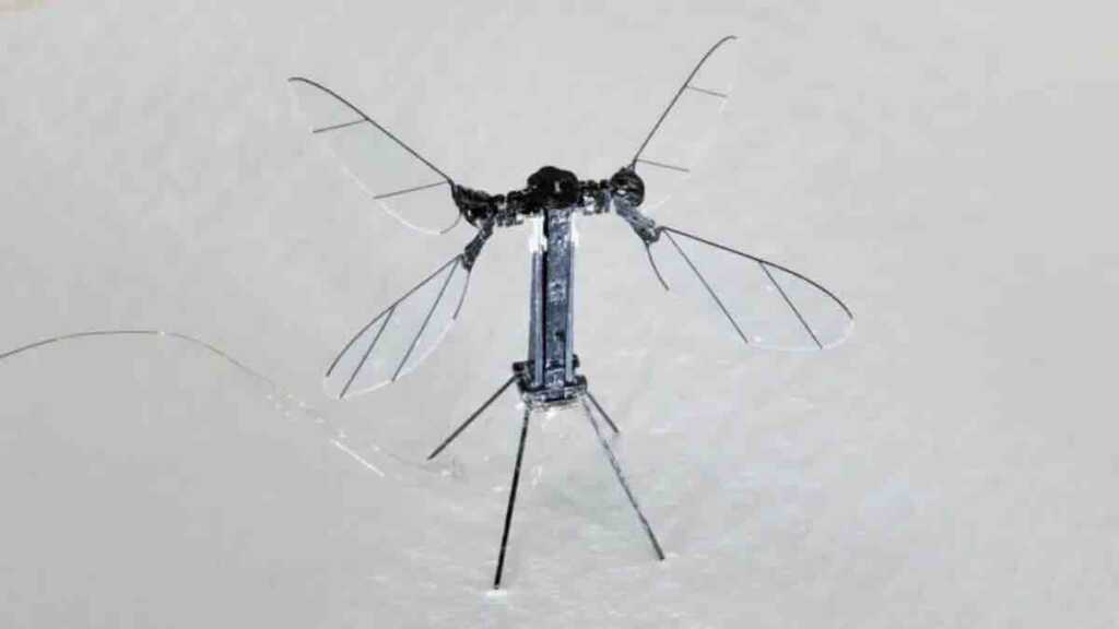 kineski %22komarac dron%22 šokira svet novi špijunski robot veličine insekta spreman za tajne misije!