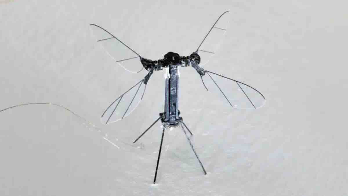 kineski %22komarac dron%22 šokira svet novi špijunski robot veličine insekta spreman za tajne misije! kineski %22komarac dron%22 šokira svet novi špijunski robot veličine insekta spreman za tajne misije!