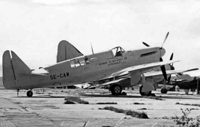 fairey firefly tt.1 1955