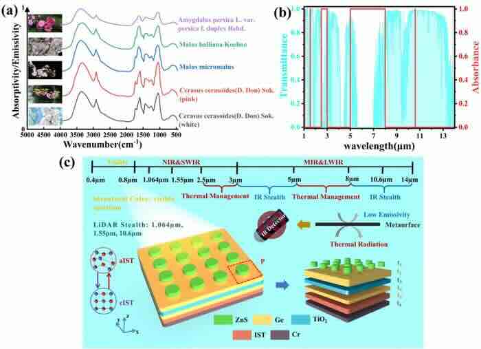 kodiranje inspirisano prirodom dinamički zakoni multispektralne kamuflaže