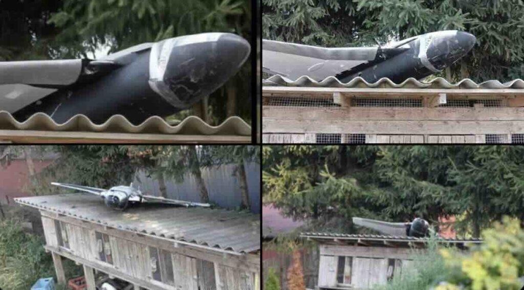 dron na farmi zeceva u poljskoj dron na farmi zečeva u poljskoj