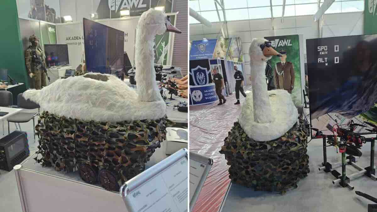 poljski „borbeni labud ubica“ novi adut nato a? prerušen špijunski dron spreman za tajne napade! poljski „borbeni labud ubica“ novi adut nato a? prerušen špijunski dron spreman za tajne napade!