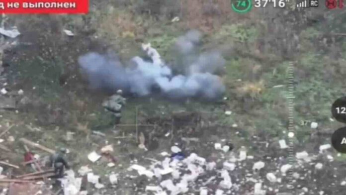 svinja spasava vojnike otkrivši minu