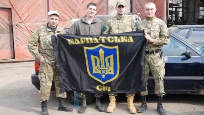 Karpatska Seč, aktuelna zastava