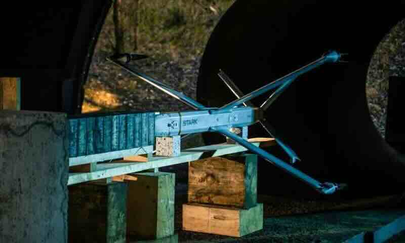 LION STRIKE STARK LION STRIKE STARK