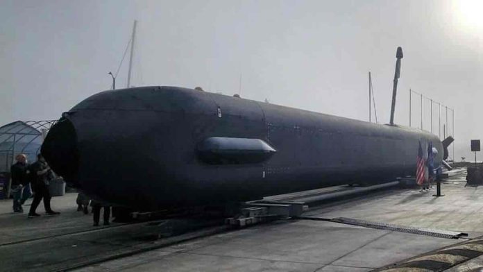 Orca XLUUV ilustracija