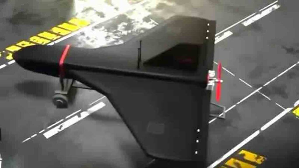 dron gerbera dron gerbera