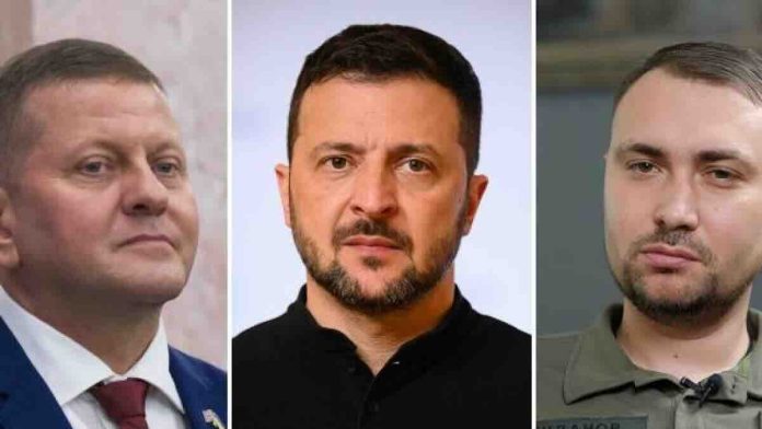 zaluzni zelenski budanov