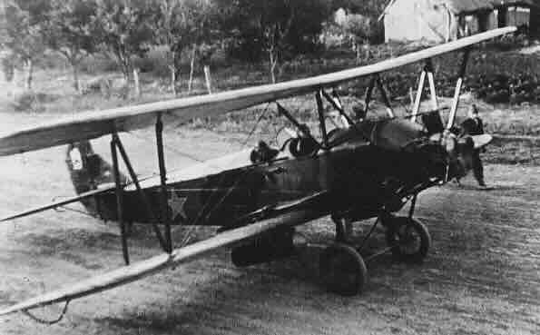 Nezgrapan ružan i veoma opasan