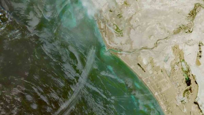 Iranska „flotila komaraca“ u Ormuzu EU sateliti otkrili desetine čamaca IRGC a, napetosti rastu