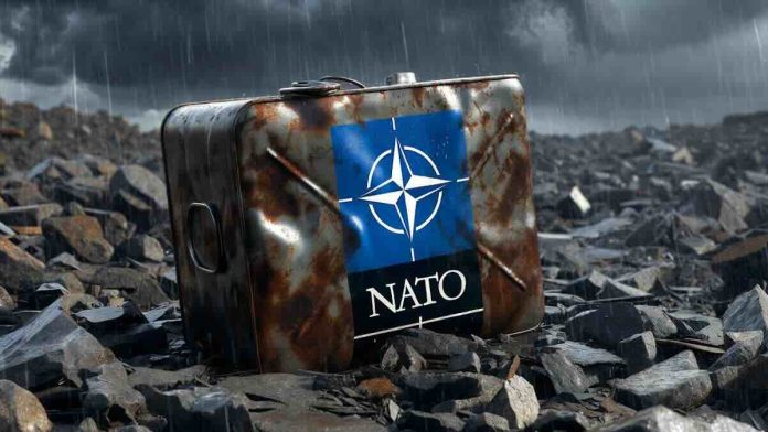 nato ilustracija