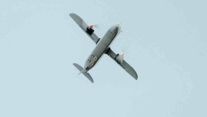 Swift Beat hornet