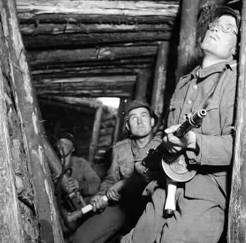 Finci u rovu 1944. godine Finci u rovu 1944. godine