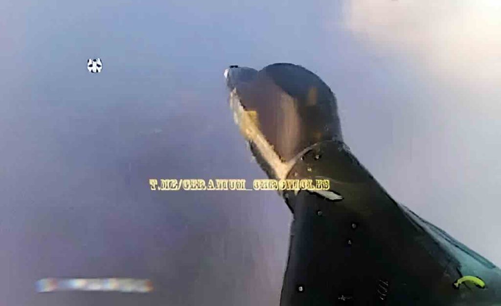 novi geranj u letu 1 novi geranj u letu